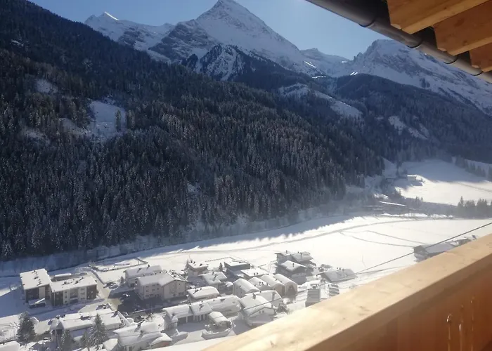 Loeberbauer, * 图克斯