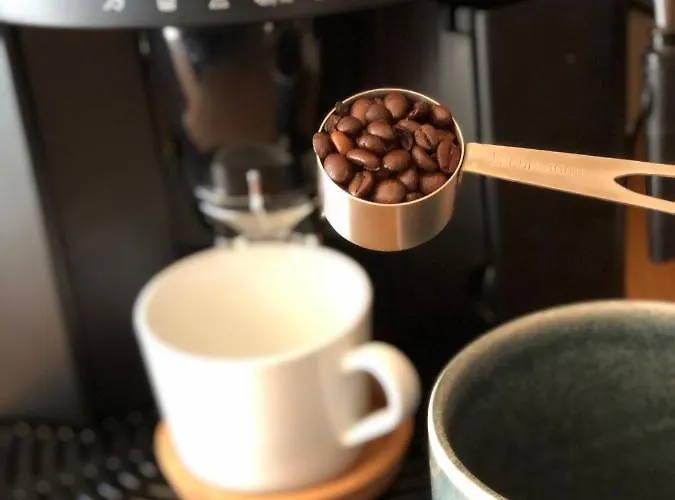 Loeberbauer, 图克斯